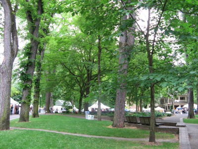Portland Art Festival