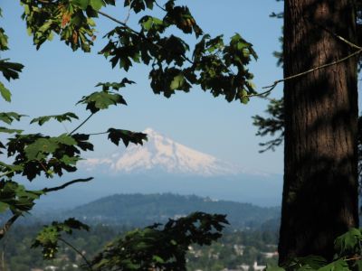Mt. Tabor Park & Mt. Hood