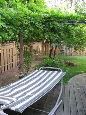 My Lovely Relaxing Hammock!
