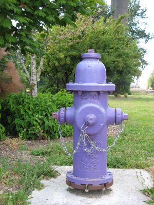 Purple Fire Hydrant at Cathedral Park