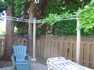 Marlene's (larger) Backyard (after demo shed)
