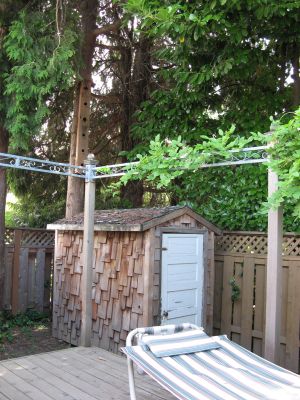 Marlene's Backyard Old 1900's Shed