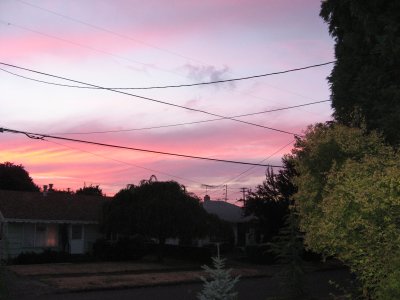 Newell Avenue HOT Sunset
