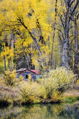 fall 2011 near marble.jpg