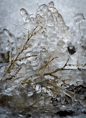 frozen.jpg