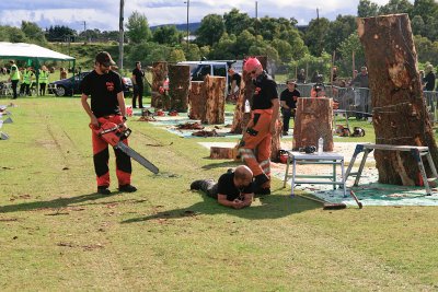 Carve Carrbridge 2011