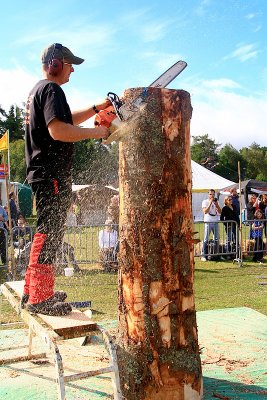 Carve Carrbridge 2011