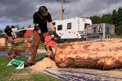 Carve Carrbridge 2011
