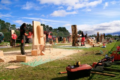 Carve Carrbridge 2011