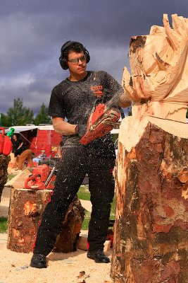 Carve Carrbridge 2011