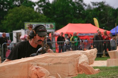 Carve Carrbridge 2011