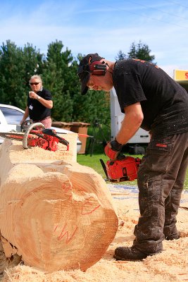 Carve Carrbridge 2011