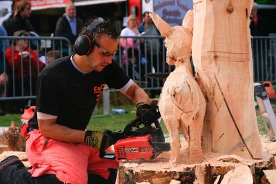 Carve Carrbridge 2011