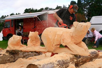 Carve Carrbridge 2011
