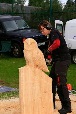 Carve Carrbridge 2011
