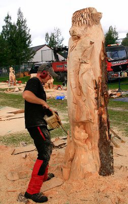 Carve Carrbridge 2011