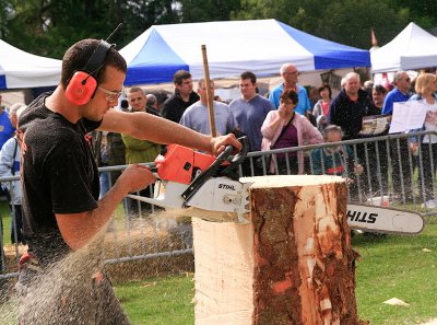 Carve Carrbridge 2011