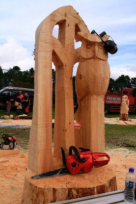 Carve Carrbridge 2011
