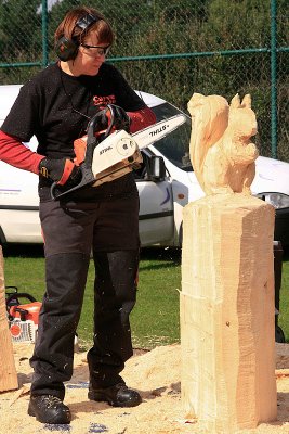 Carve Carrbridge 2011