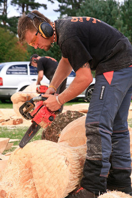 Carve Carrbridge 2011