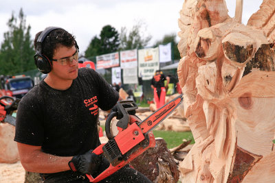 Carve Carrbridge 2011
