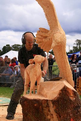 Carve Carrbridge 2011