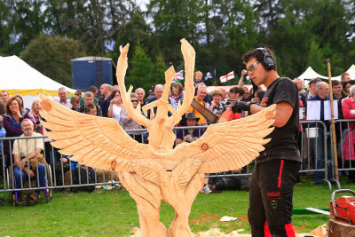 Carve Carrbridge 2011