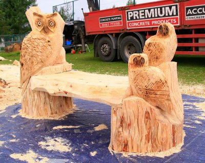 Carve Carrbridge 2011