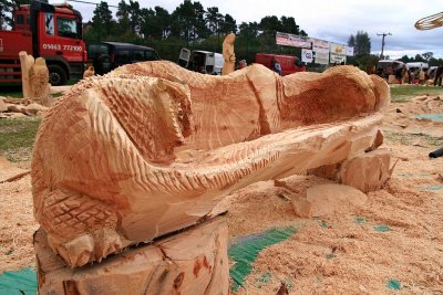 Carve Carrbridge 2011
