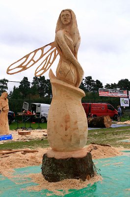 Carve Carrbridge 2011