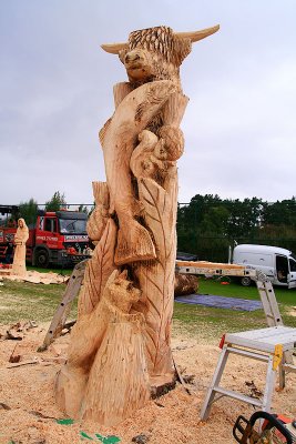 Carve Carrbridge 2011