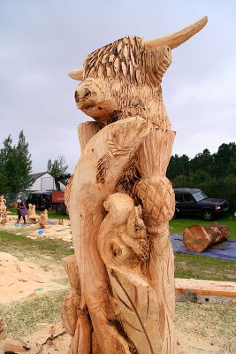 Carve Carrbridge 2011