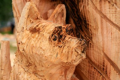 Carve Carrbridge 2011