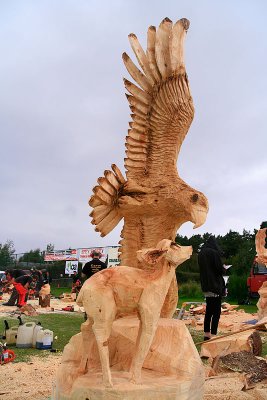 Carve Carrbridge 2011