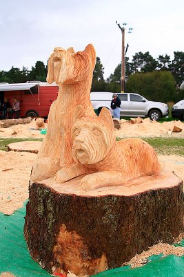 Carve Carrbridge 2011