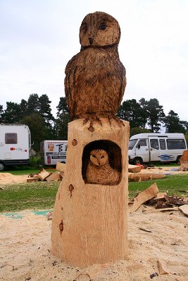 Carve Carrbridge 2011