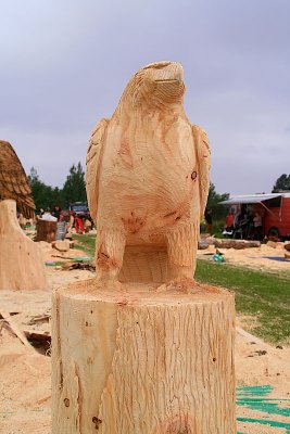 Carve Carrbridge 2011