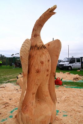 Carve Carrbridge 2011