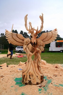 Carve Carrbridge 2011