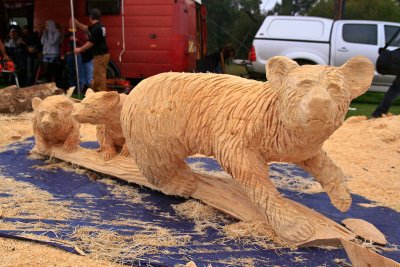 Carve Carrbridge 2011