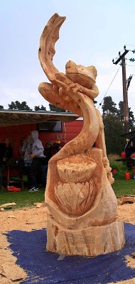 Carve Carrbridge 2011