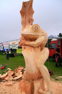 Carve Carrbridge 2011