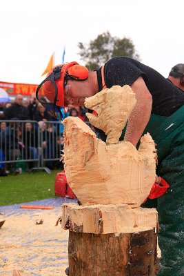 Carve Carrbridge 2011