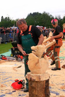 Carve Carrbridge 2011