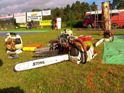 Carve Carrbridge 2011
