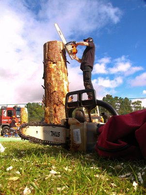 Carve Carrbridge 2011