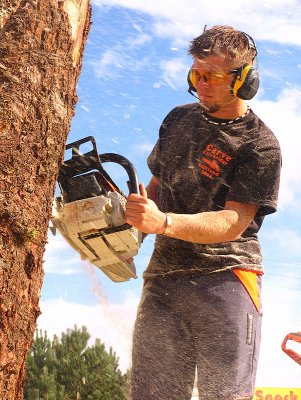 Carve Carrbridge 2011