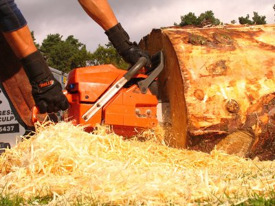 Carve Carrbridge 2011