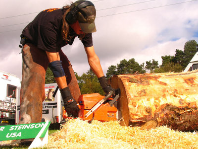 Carve Carrbridge 2011