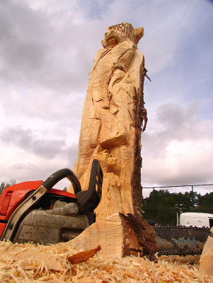 Carve Carrbridge 2011